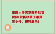 玉雕小件灵芝图片欣赏视频(赏析精美玉雕灵芝小件：视频展示)