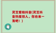 灵芝爱拍抖音(灵芝抖音热度惊人，你也来一发吧！)
