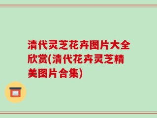 清代灵芝花卉图片大全欣赏(清代花卉灵芝精美图片合集)