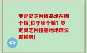 罗定灵芝种植基地在哪个镇(位于哪个镇？罗定灵芝种植基地地理位置揭晓)