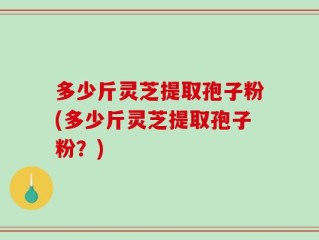 多少斤灵芝提取孢子粉(多少斤灵芝提取孢子粉？)