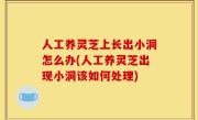 人工养灵芝上长出小洞怎么办(人工养灵芝出现小洞该如何处理)