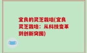 宜良的灵芝栽培(宜良灵芝栽培：从科技变革到创新突围)