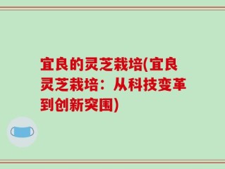 宜良的灵芝栽培(宜良灵芝栽培：从科技变革到创新突围)