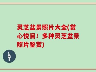 灵芝盆景照片大全(赏心悦目！多种灵芝盆景照片鉴赏)