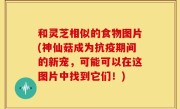和灵芝相似的食物图片(神仙菇成为抗疫期间的新宠，可能可以在这图片中找到它们！)