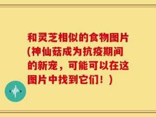 和灵芝相似的食物图片(神仙菇成为抗疫期间的新宠，可能可以在这图片中找到它们！)