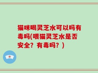 猫咪喝灵芝水可以吗有毒吗(喂猫灵芝水是否安全？有毒吗？)