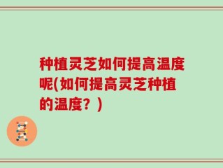 种植灵芝如何提高温度呢(如何提高灵芝种植的温度？)