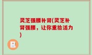 灵芝强腰补肾(灵芝补肾强腰，让你重拾活力)