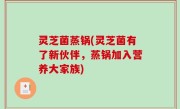 灵芝菌蒸锅(灵芝菌有了新伙伴，蒸锅加入营养大家族)