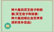 神六集团灵芝孢子粉胶囊(灵芝孢子粉胶囊：神六集团堪比自然界奇迹的食补佳品)