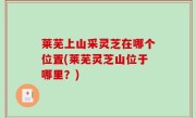 莱芜上山采灵芝在哪个位置(莱芜灵芝山位于哪里？)
