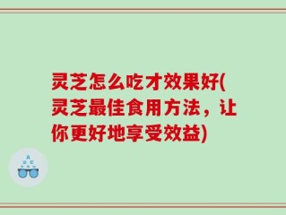 灵芝怎么吃才效果好(灵芝最佳食用方法，让你更好地享受效益)