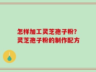 怎样加工灵芝孢子粉？灵芝孢子粉的制作配方