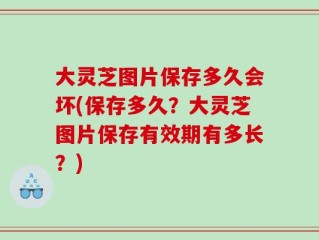 大灵芝图片保存多久会坏(保存多久？大灵芝图片保存有效期有多长？)