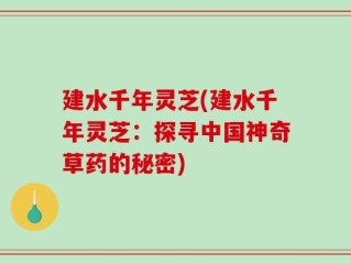 建水千年灵芝(建水千年灵芝：探寻中国神奇草药的秘密)