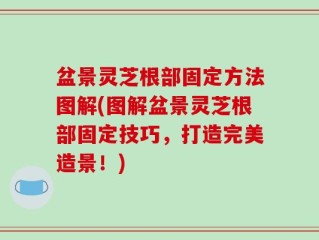 盆景灵芝根部固定方法图解(图解盆景灵芝根部固定技巧，打造完美造景！)