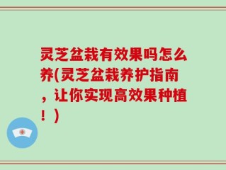 灵芝盆栽有效果吗怎么养(灵芝盆栽养护指南，让你实现高效果种植！)