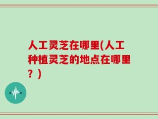 人工灵芝在哪里(人工种植灵芝的地点在哪里？)