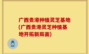广西贵港种植灵芝基地(广西贵港灵芝种植基地开拓新局面)