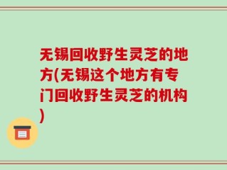 无锡回收野生灵芝的地方(无锡这个地方有专门回收野生灵芝的机构)