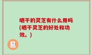 晒干的灵芝有什么用吗(晒干灵芝的好处和功效。)
