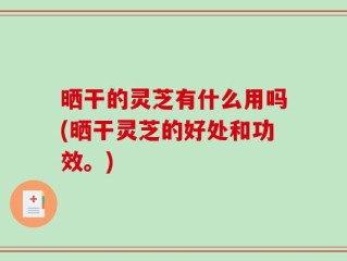 晒干的灵芝有什么用吗(晒干灵芝的好处和功效。)