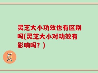 灵芝大小功效也有区别吗(灵芝大小对功效有影响吗？)