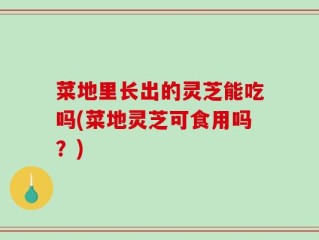 菜地里长出的灵芝能吃吗(菜地灵芝可食用吗？)
