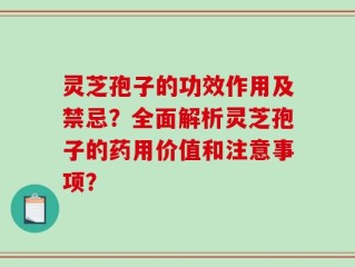 灵芝孢子的功效作用及禁忌？全面解析灵芝孢子的药用价值和注意事项？