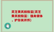 灵芝黄芪胶股蓝(灵芝黄芪胶股蓝：强身健体，护你笑开怀)