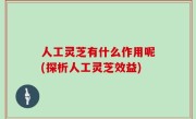 人工灵芝有什么作用呢(探析人工灵芝效益)