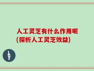 人工灵芝有什么作用呢(探析人工灵芝效益)