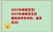 2023年蜂窝灵芝(2023年蜂窝灵芝将展现其神奇功效，备受关注)