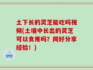 土下长的灵芝能吃吗视频(土壤中长出的灵芝可以食用吗？同好分享经验！)