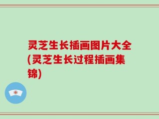 灵芝生长插画图片大全(灵芝生长过程插画集锦)