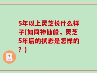 5年以上灵芝长什么样子(如同神仙般，灵芝5年后的状态是怎样的？)