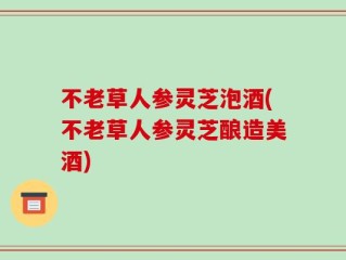 不老草人参灵芝泡酒(不老草人参灵芝酿造美酒)