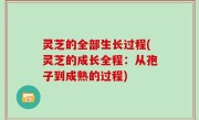 灵芝的全部生长过程(灵芝的成长全程：从孢子到成熟的过程)