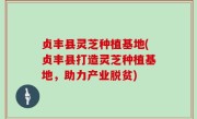 贞丰县灵芝种植基地(贞丰县打造灵芝种植基地，助力产业脱贫)