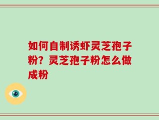 如何自制诱虾灵芝孢子粉？灵芝孢子粉怎么做成粉