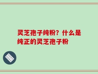 灵芝孢子纯粉？什么是纯正的灵芝孢子粉
