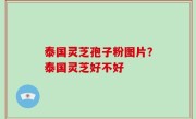 泰国灵芝孢子粉图片？泰国灵芝好不好