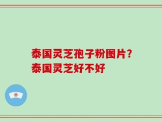 泰国灵芝孢子粉图片？泰国灵芝好不好
