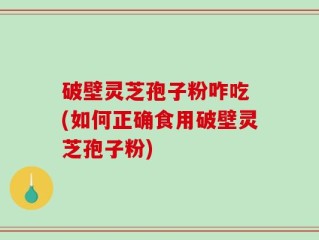 破壁灵芝孢子粉咋吃 (如何正确食用破壁灵芝孢子粉)