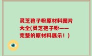灵芝孢子粉原材料图片大全(灵芝孢子粉——完整的原材料展示！)