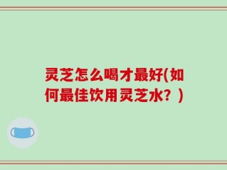 灵芝怎么喝才最好(如何最佳饮用灵芝水？)