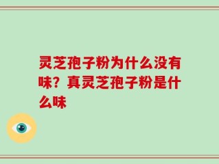灵芝孢子粉为什么没有味？真灵芝孢子粉是什么味