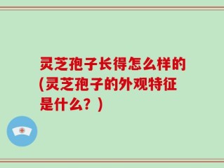 灵芝孢子长得怎么样的(灵芝孢子的外观特征是什么？)